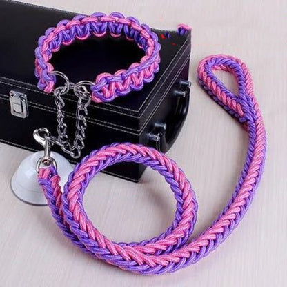 Durable Nylon Pet Leash & Collar for Medium and Large Dogs