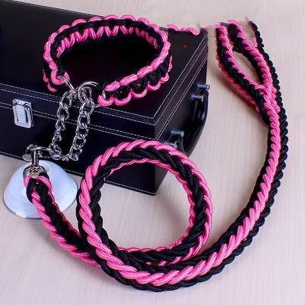 Durable Nylon Pet Leash & Collar for Medium and Large Dogs