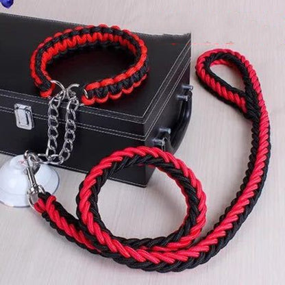 Durable Nylon Pet Leash & Collar for Medium and Large Dogs