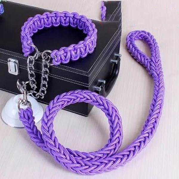 Durable Nylon Pet Leash & Collar for Medium and Large Dogs