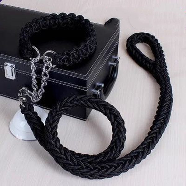 Durable Nylon Pet Leash & Collar for Medium and Large Dogs