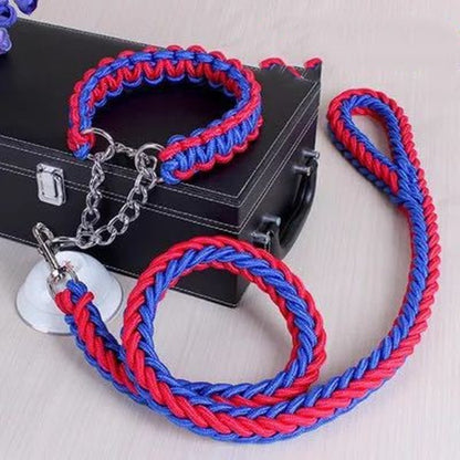 Durable Nylon Pet Leash & Collar for Medium and Large Dogs