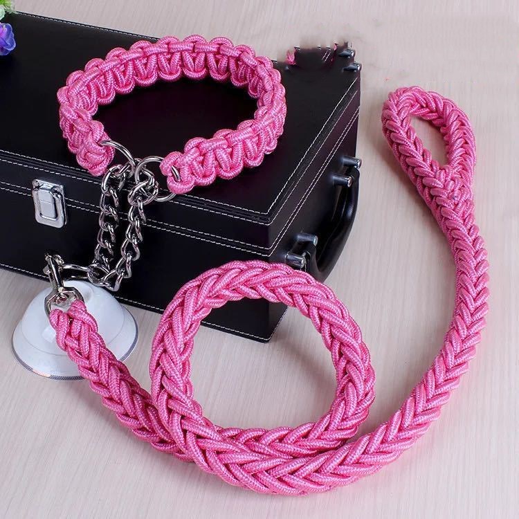 Durable Nylon Pet Leash & Collar for Medium and Large Dogs