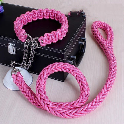 Durable Nylon Pet Leash & Collar for Medium and Large Dogs