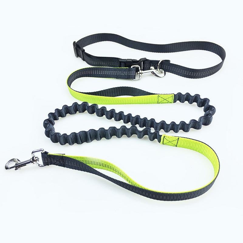 Double Elastic Reflective Running Dog Leash