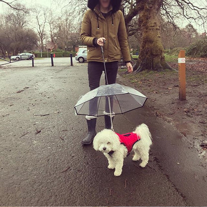 Transparent Dog Umbrella