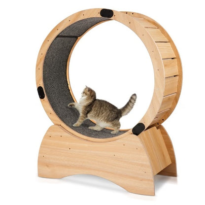 Cat Treadmill with Carpeted Runway - Ultimate Kitty Fitness Toy