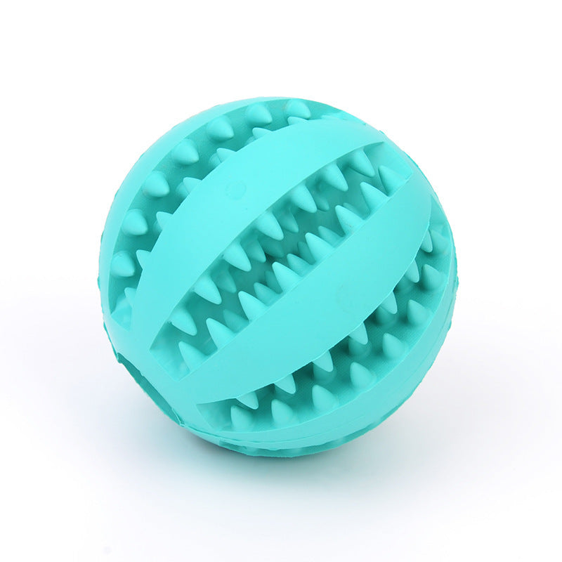 Mint Rubber Feeding Ball with Built-in Food Storage