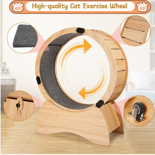 Cat Treadmill with Carpeted Runway - Ultimate Kitty Fitness Toy