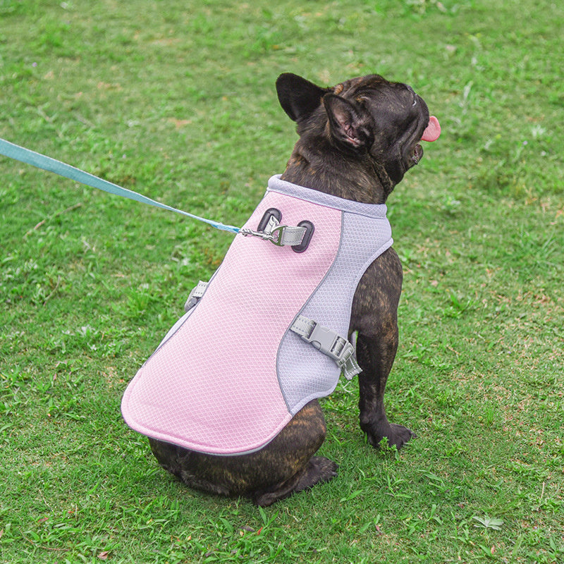 Summer Pet Cooling Vest – Breathable Outdoor Gear