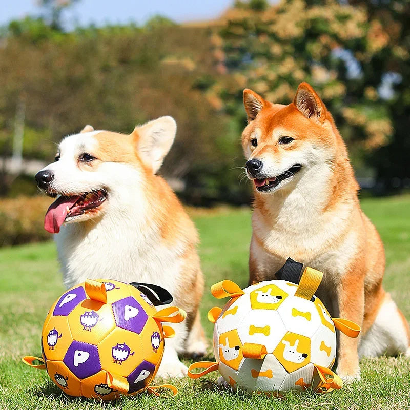 Interactive Dog Soccer Ball - Cute Printed Teething & Training Toy