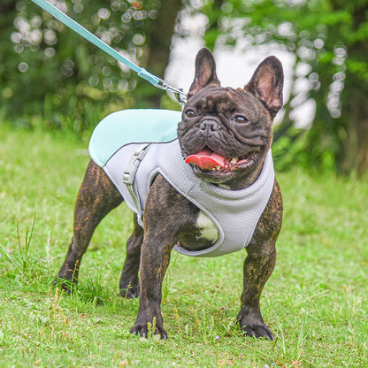 Summer Pet Cooling Vest – Breathable Outdoor Gear