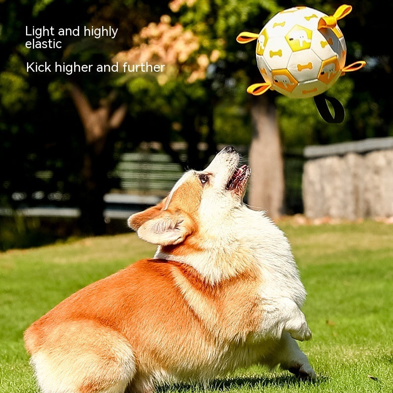 Interactive Dog Soccer Ball - Cute Printed Teething & Training Toy