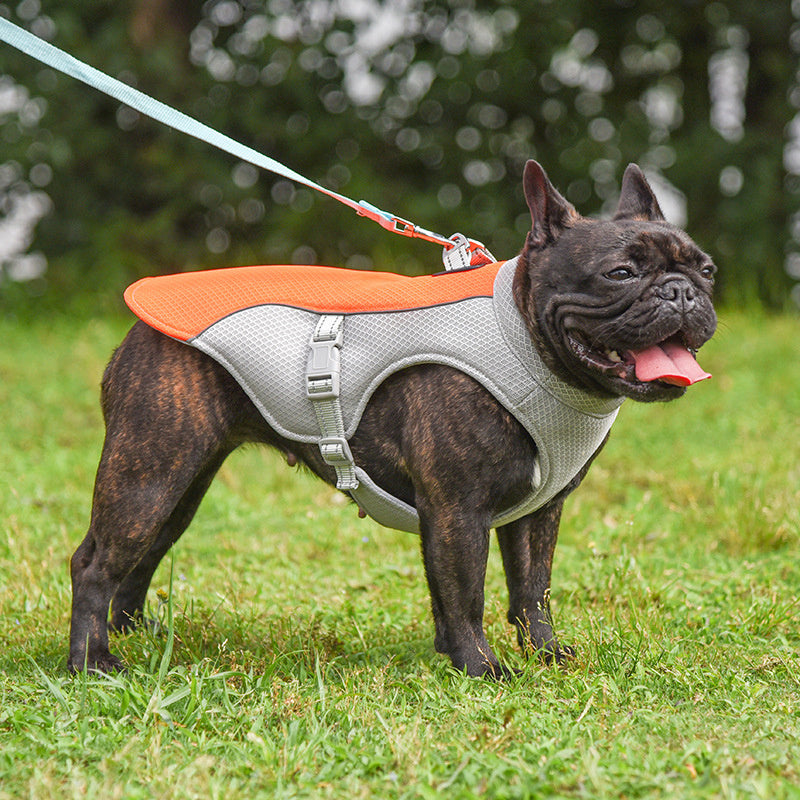 Summer Pet Cooling Vest – Breathable Outdoor Gear